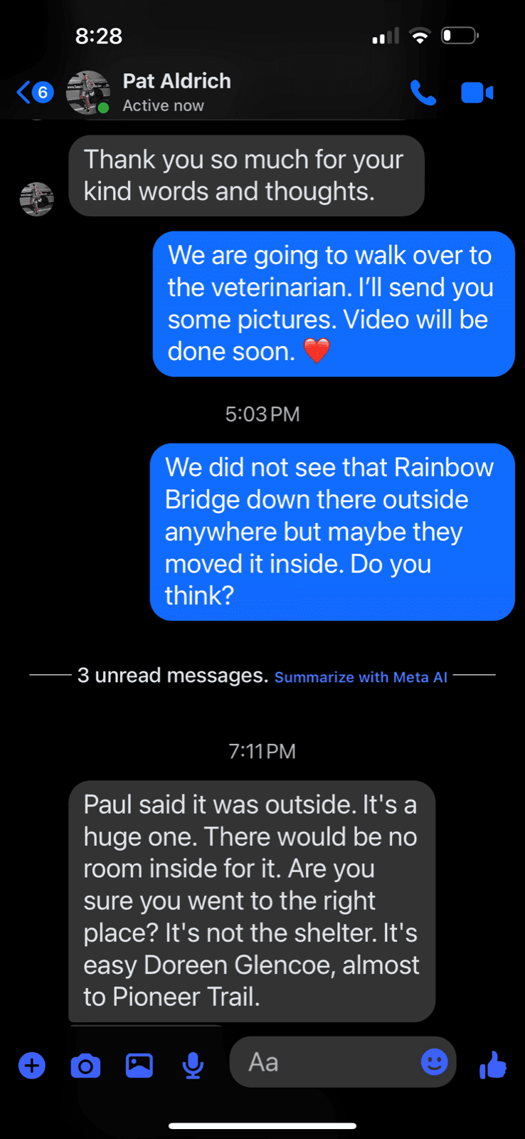 April 4, 2026. Pat: 'Thank you so much for your kind words and thoughts.' Amber walking over to the vet to photograph Paul's biggest bridge.